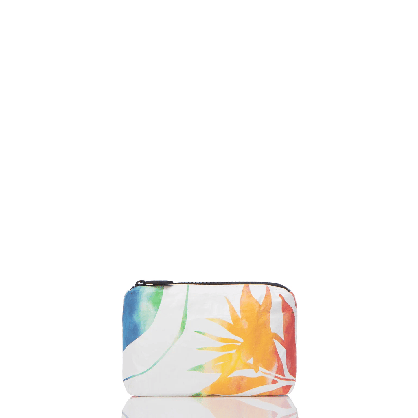 Painted Birds Rainbow Mini Pouch