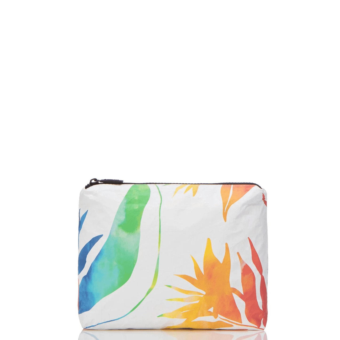 Painted Birds Rainbow Small Pouch